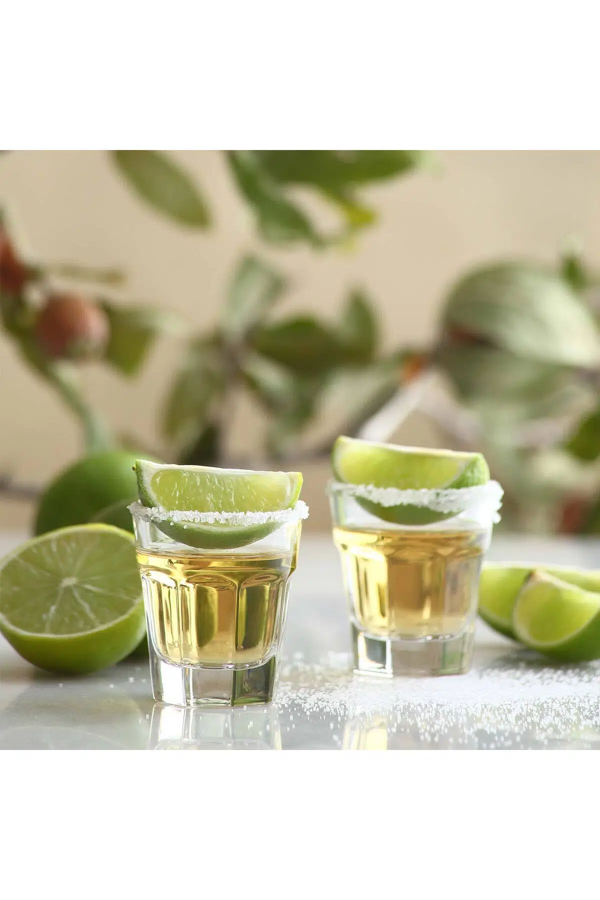 Aras Cam Likör Bardağı 6'lı 45 ml (Shot/Şerbet Bardağı )